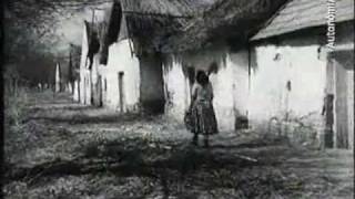 preview picture of video 'Új szőlők telepítése - Hajós, 1954'
