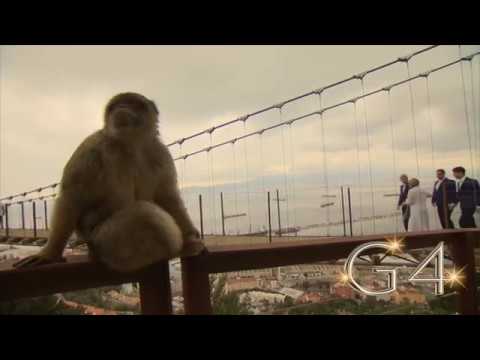 G4 LOVE SONGS - VERY Cheeky Monkeys!