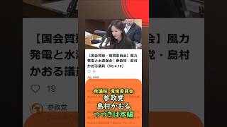 くわしくは本編🍊風力発電と水源保全🍊参政党【島村かおる】🍊衆議院環境委員会20260410🍊詳しくは公式ホームページ→（概要欄にリンク）　#島村かおる #参政党