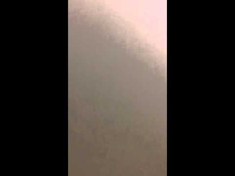 Psalmus 1:3 NOVA VULGATA