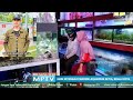 Jual Ikan Hias Di Binjai