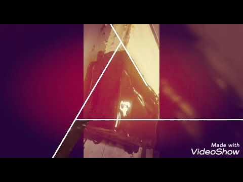 Chocolate cake & fruit cake by chef naveed and morshed