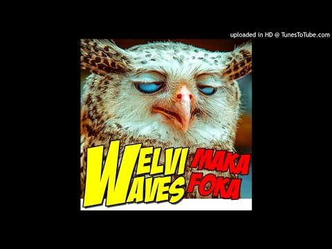 Welvi-Waves _ Makafoka (Official Audio)