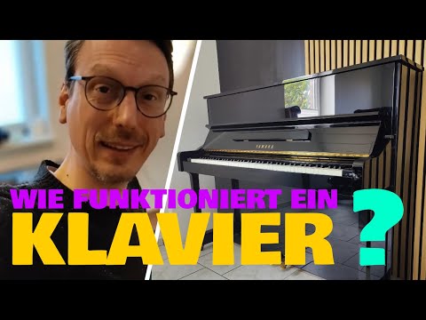 Das Klavier! Wie funktioniert das eigentlich? Vom Klavierbauer erklärt!