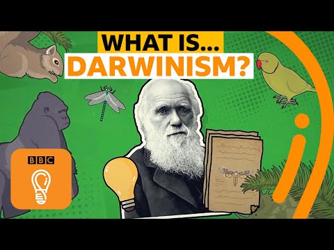 Charles Darwin's theory of evolution explained | A-Z of ISMs Episode 4 - BBC Ideas