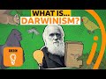 Charles Darwin's theory of evolution explained | A-Z of ISMs Episode 4 - BBC Ideas