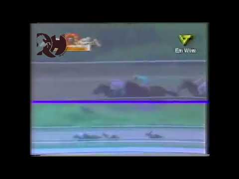 La madre de King Seraf  AMANDINA LADY se luce en el Clasico Hipica Nacional año 2001.