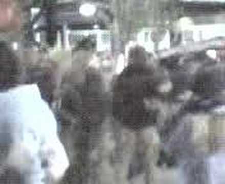 New England Revolution Supporters