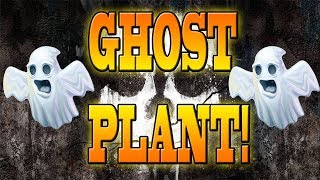 The Ghost Bomb Plant On Ghosts