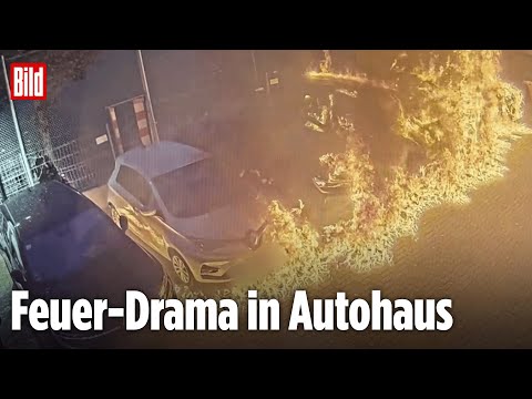 Berlin: Vermummte setzen sieben Autos in Brand