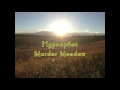 Hypnopilot - Murder Meadow