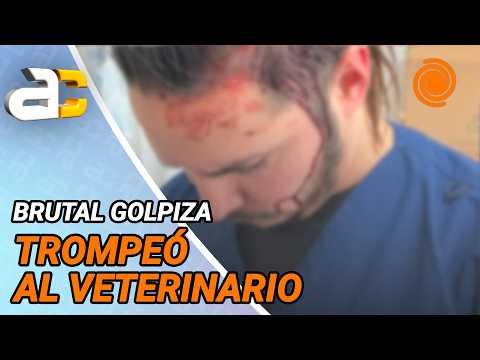 VETERINARIO fue atacado a GOLPES por el dueño de una perra que murió en una cirugía