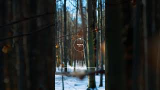 TAKE A MINUTE. Just Breathe in, Breathe out 🍁