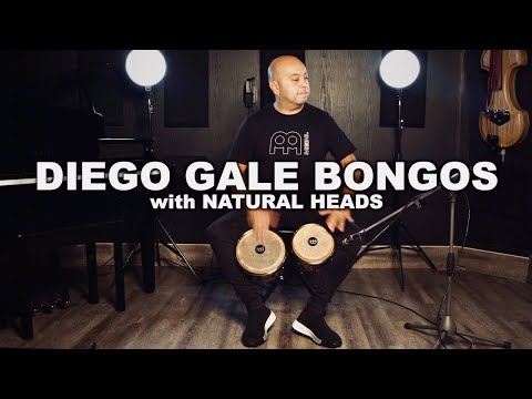 MEINL Percussion Diego Galé NEW Signature Bongos with Natural Drumheads