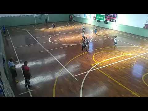 Final sub 7 da Copa Pelezinho Estadual de Futsal 2019