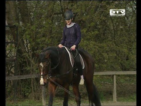 A Koch Valéria Iskola tanulói a bólyi Csemete Lovasiskolában