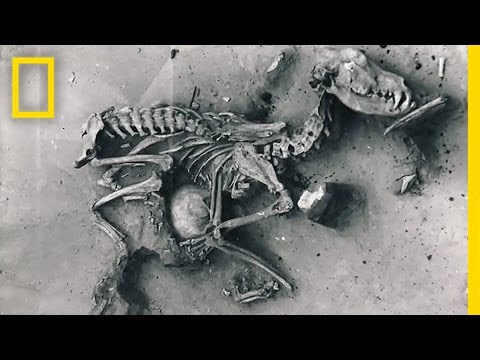 download lagu mp3 mp4 How Dog Became Mans Best Friend Movie, download lagu How Dog Became Mans Best Friend Movie gratis, unduh video klip How Dog Became Mans Best Friend Movie