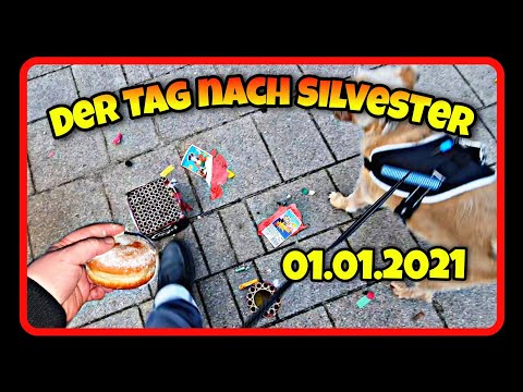 Der Tag nach Silvester 2020/2021/ Neujahr/ 1.1.2021/ Reste vom Feste suchen #MCBöllerTester