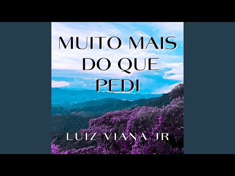 Muito Mais Do Que Pedi - Luiz Viana Jr.