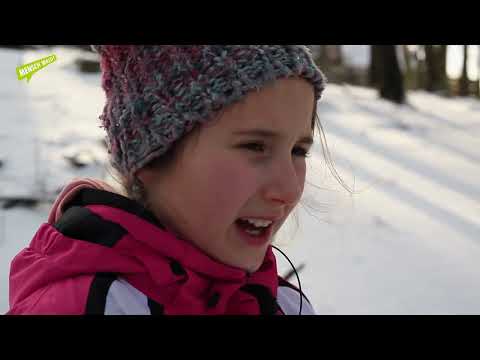 Winter im Wald