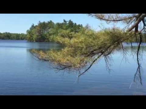 The Dream of Haggett's Pond.