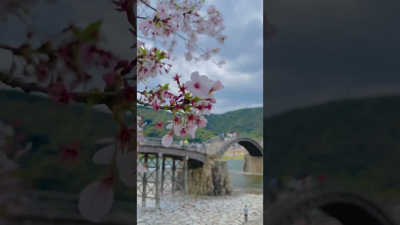 YouTube Short thumbnail