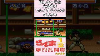 らんま1/2 爆烈乱闘篇の小ネタ デバックモード
