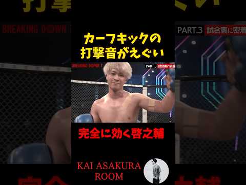 【朝倉海】ジョリーのカーフキックがバチバチに効いてそうな啓之輔 #shorts  #朝倉海 #ブレイキングダウン