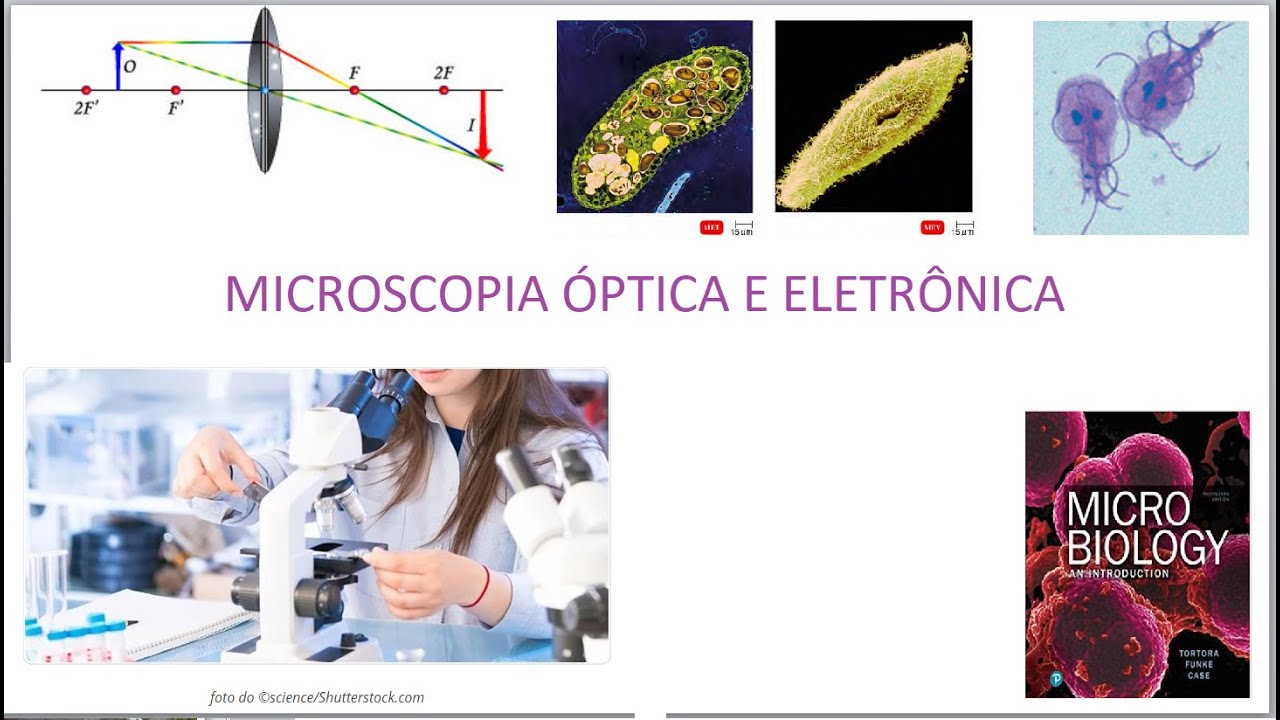 Biofisica 14 - Microscopia óptica e eletrônica