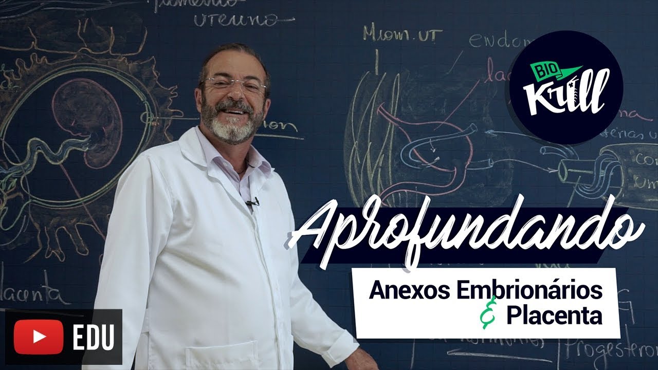 Aprofundando | Anexos Embrionários e Placenta