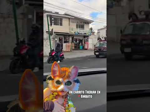 ✨ ¿Un carrito therian en Ambato? 👀🔥#Ambato #AmbatoEcuador #Tungurahua #Tendencia #Viral