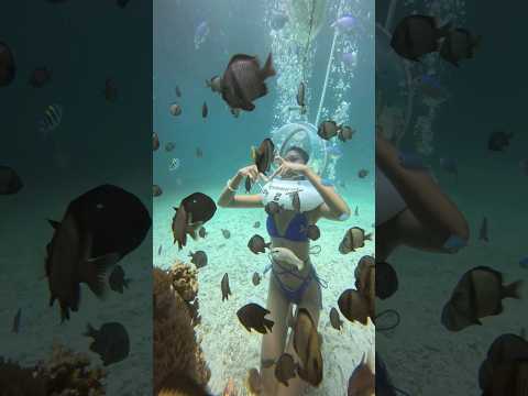 An AWESOME Helmet Dive You Won't Forget! Boracay #philippines