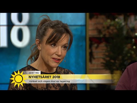 Nyhetspanelen sammanfattar 2018: ”Vi har tappat tilltron för politikerna” - Nyhetsmorgon (TV4)