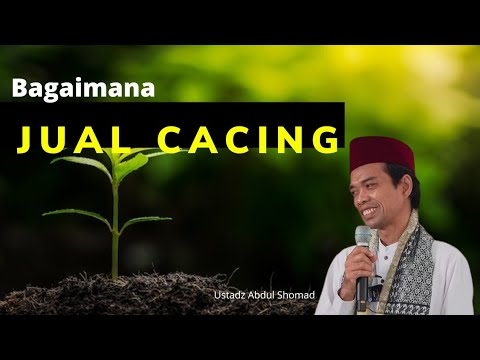 Hukum JUAL CACING | UAS (Ustadz Abdul Somad)