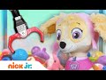 Claw Machine Surprise 15 W PAW Patrol Blaze And The Monster Machines Mystery Bag Nick Jr