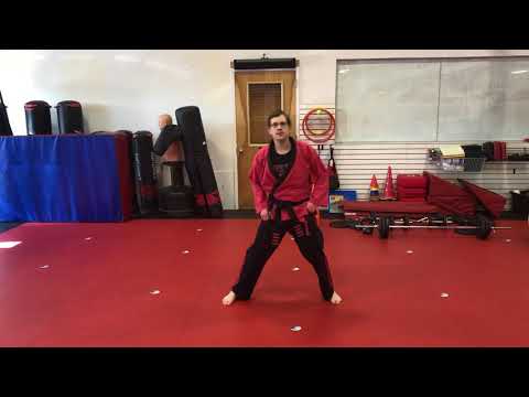 American Kenpo: Short Form 2
