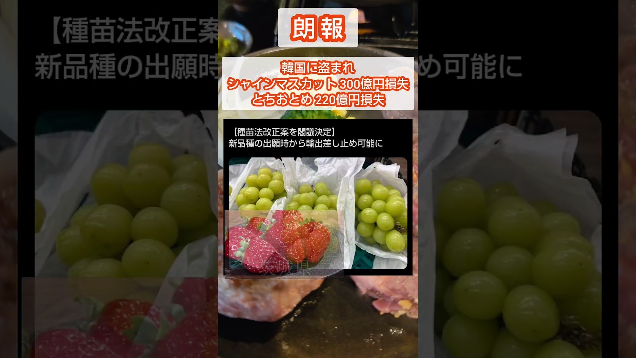 #自民党 #韓国人 #中国人 #移民