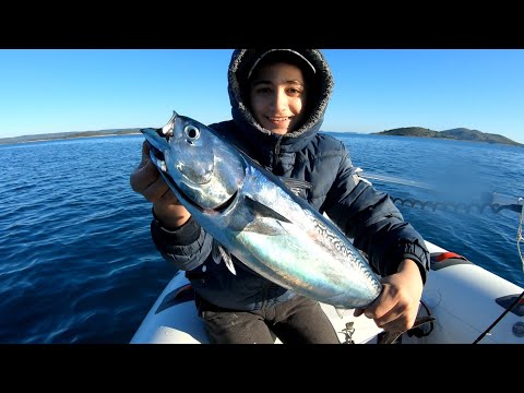 Varaličarenje luca na površini ( little tunny fishing)