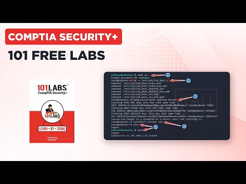 CompTIA Security 101 Labs l Hping