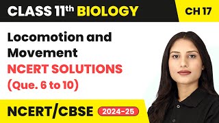 Locomotion and Movement - NCERT Solutions (Q. 6 to 10) | Class 11 Biology Chapter 17 | CBSE 2024-25