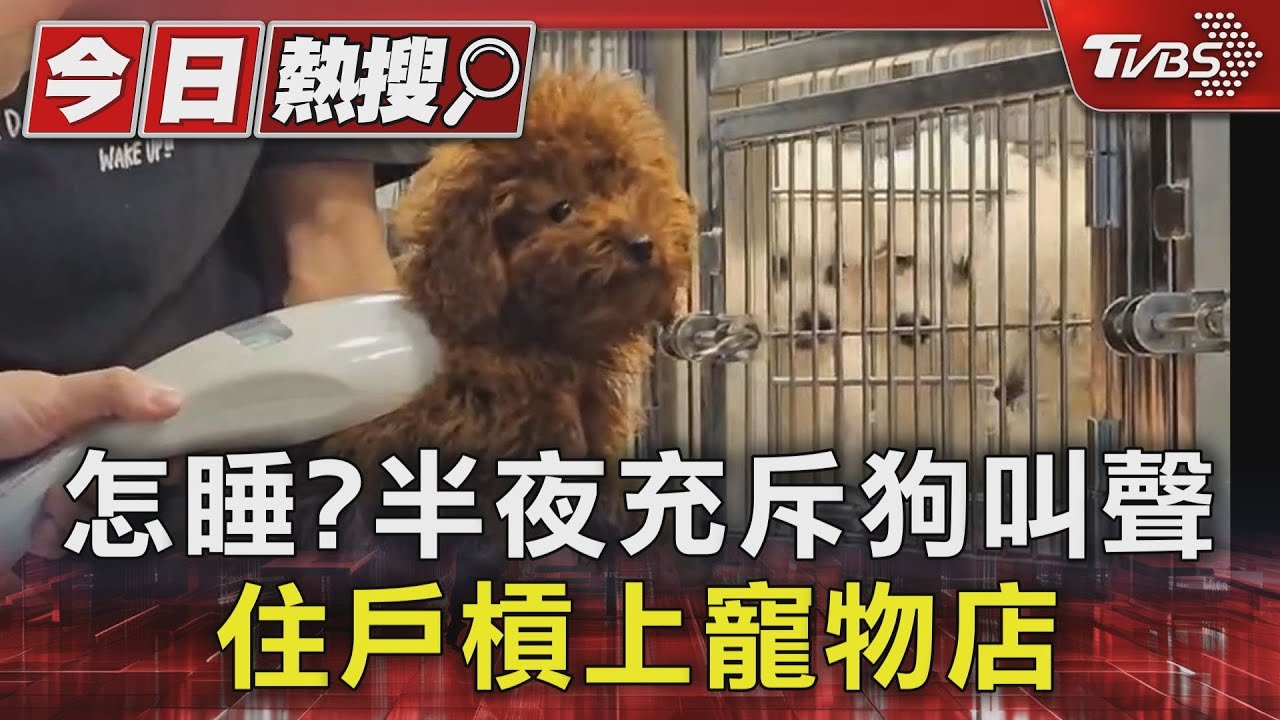 怎睡?半夜充斥狗叫聲 住戶槓上寵物店