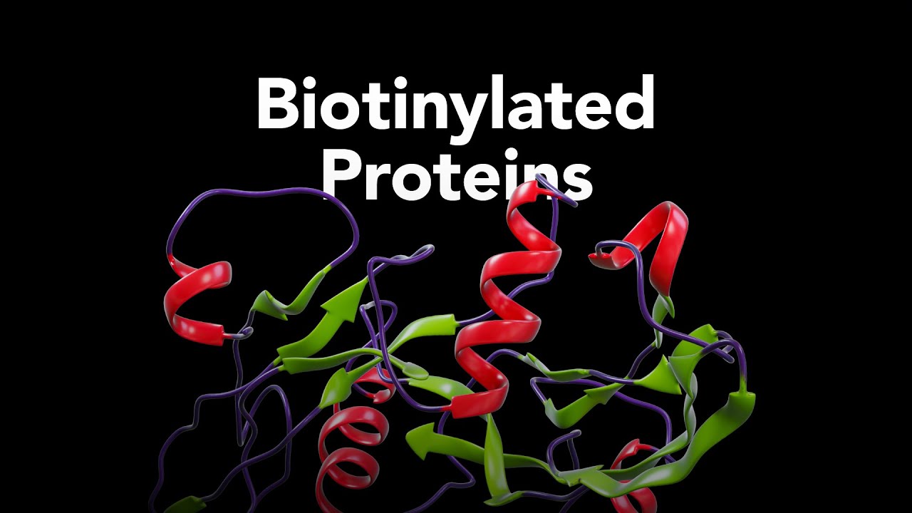 R&D Systems Biotinylated Proteins