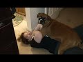 Woman Viciously Mauled By Boxer Dog