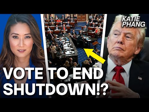 Dem Senators STUN Party With SHOCKING SHUTDOWN Vote!?