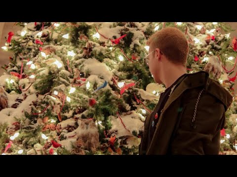 Una navidad diferente en NYC
