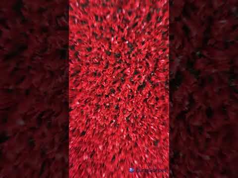 Декоративна трава DECO Червона