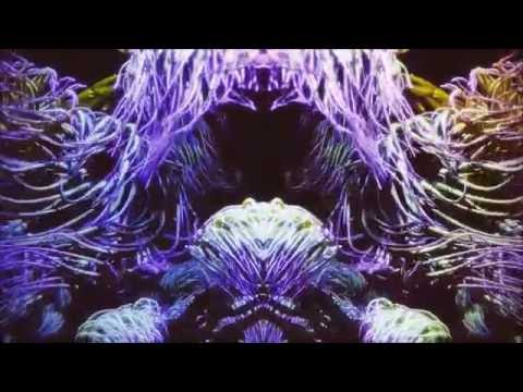 Indivizibil  - Inspiri Fara Sa Expiri