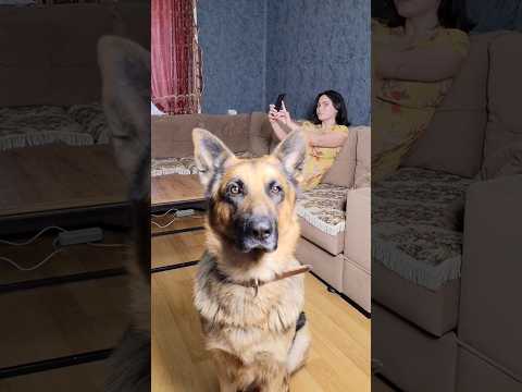 ჯერემის  სწორი გადაწყვეტილება