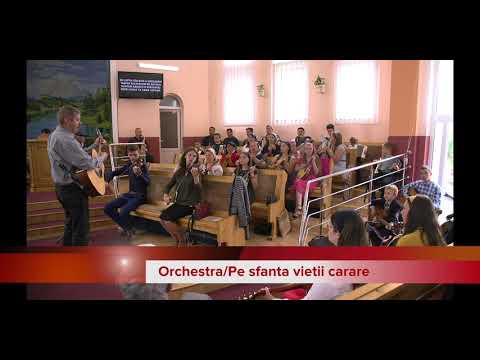 Orchestra - Pe Sfanta Vietii Carare