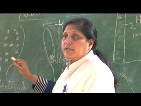 Theme Song Video of Nanaji Deshmukh Veterinary Science University, Jabalpur